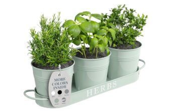 Step-by-step guide to creating an urban ...